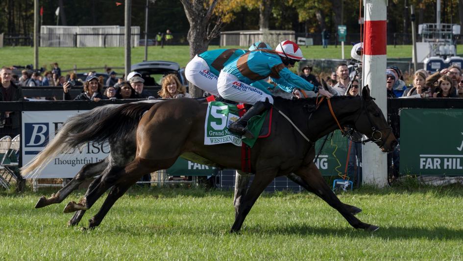 Western Fold Wins American Grand National Steeplechase at Far Hills
